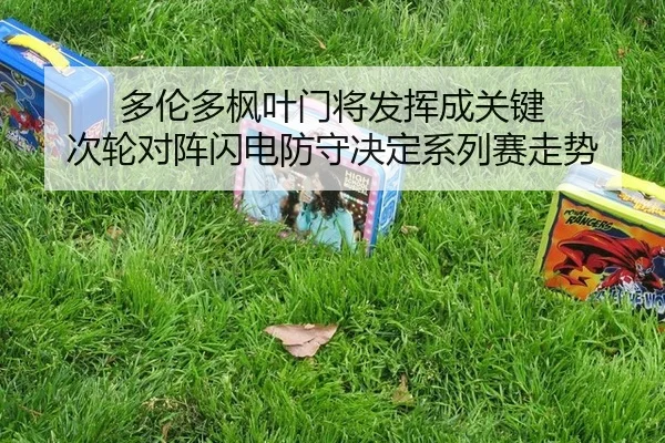 多伦多枫叶门将发挥成关键 次轮对阵闪电防守决定系列赛走势